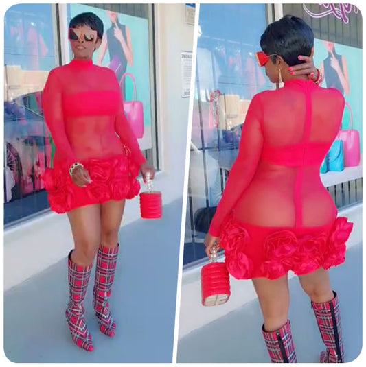 Red Rose Sheer Mini Dress