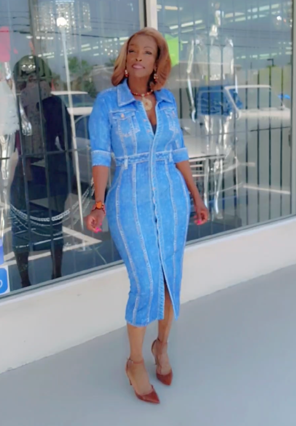 Fitted Denim Dress (Blue)